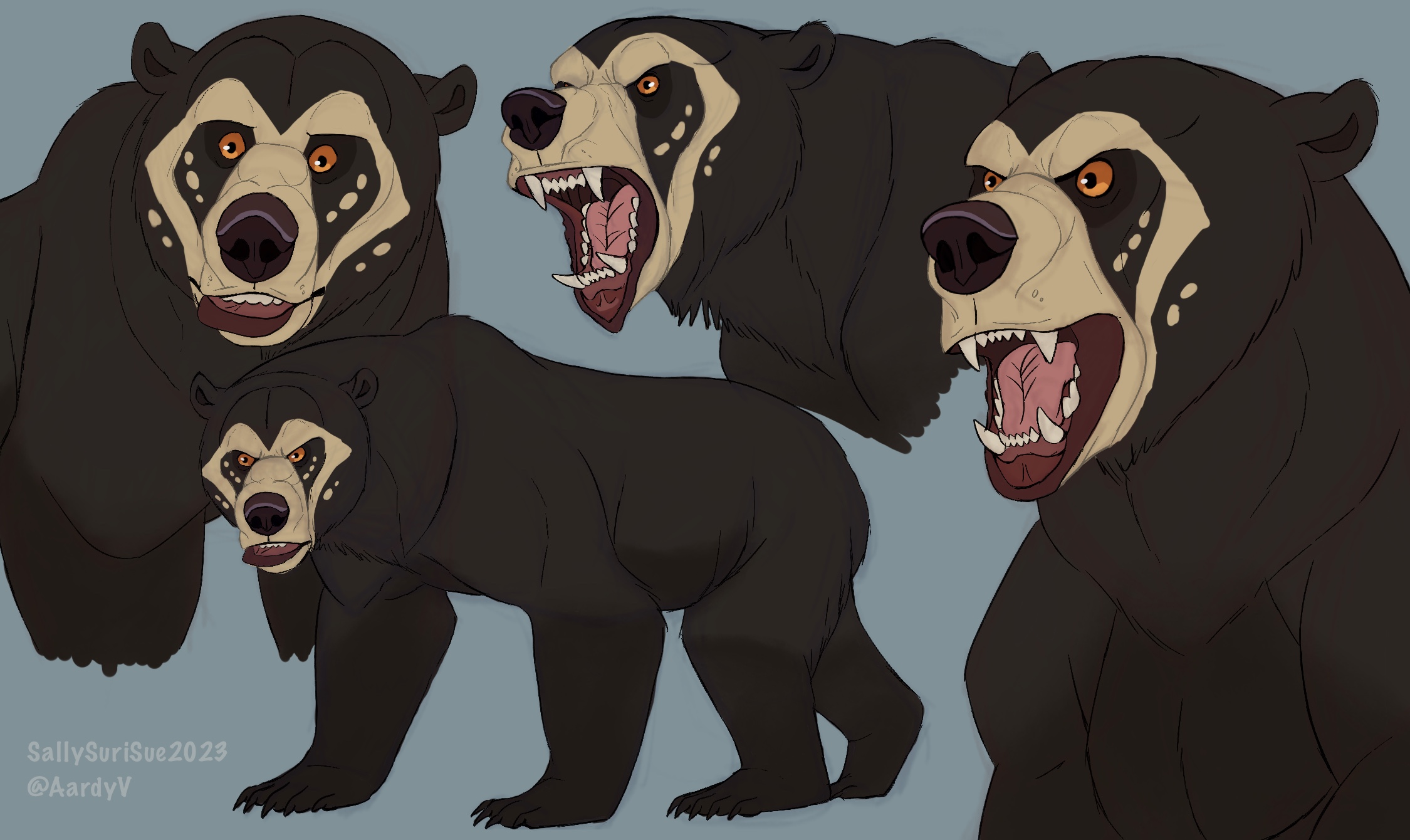 Bear Deviantart Rapper Short Faced Bear Studies by Sallysue234 on DeviantArt