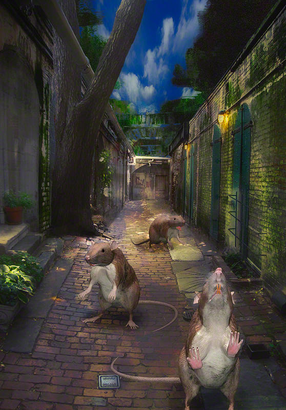 Rats in the alley by colorcrank on DeviantArt