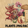 vintage plants png pack - 20 elements