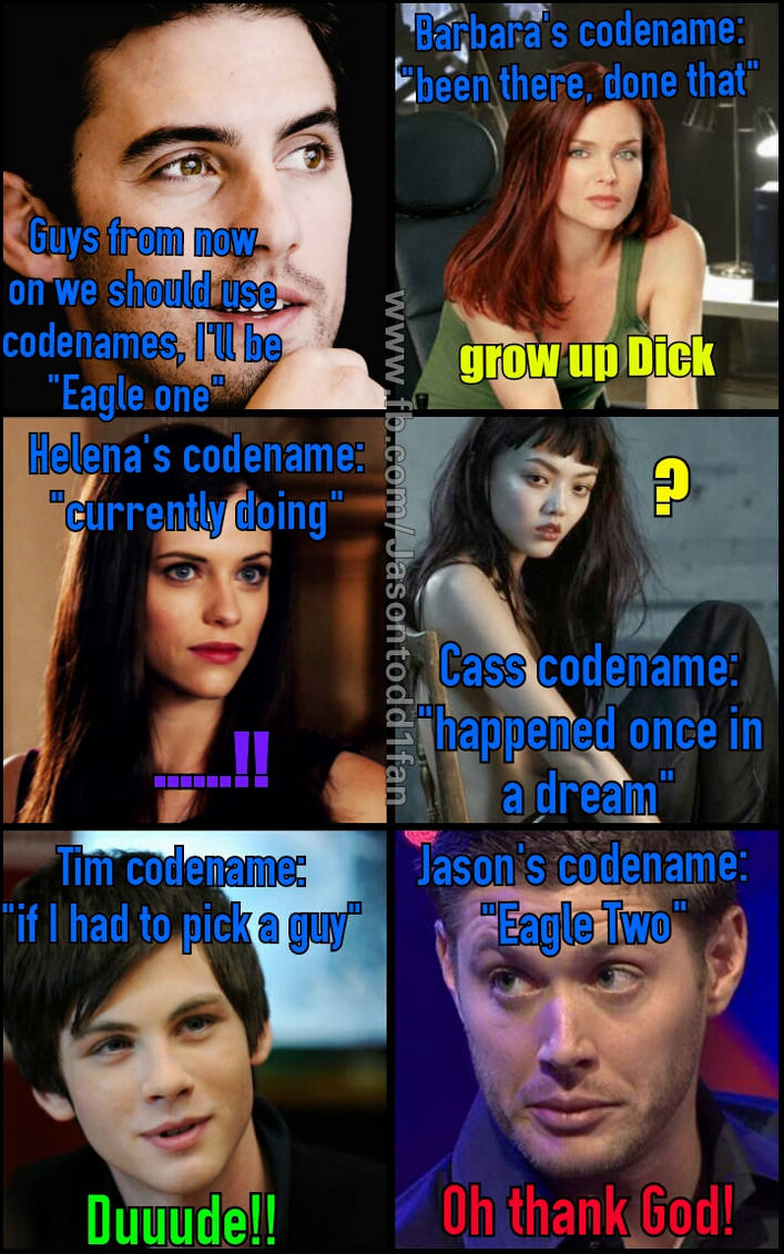 Catoons Code Names Nightwing code Names for the BatFamily by Jasontodd1fan on DeviantArt