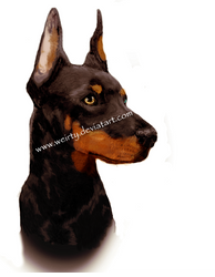 Doberman