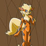 Living Suit of Arcanine 2