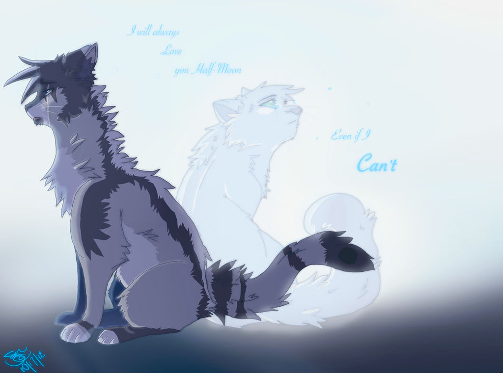 Jayfeather's tears