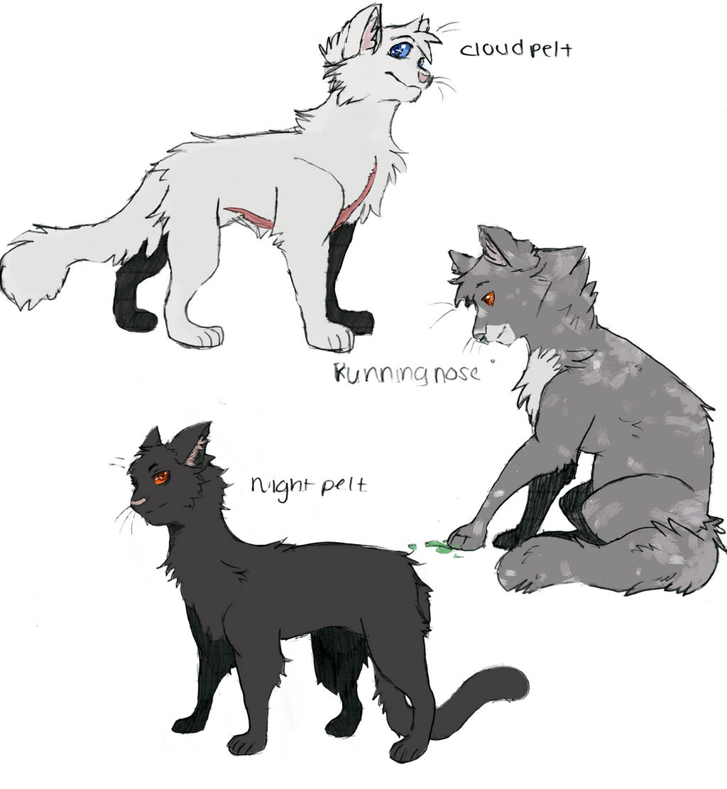 Some awesome Shadowclan cats