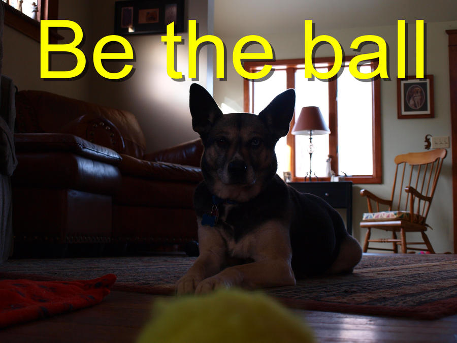 Be the Ball