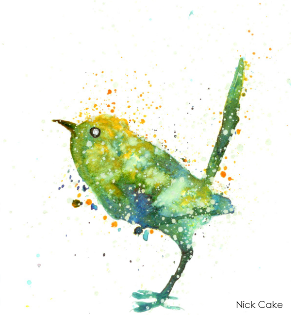 Bird Color