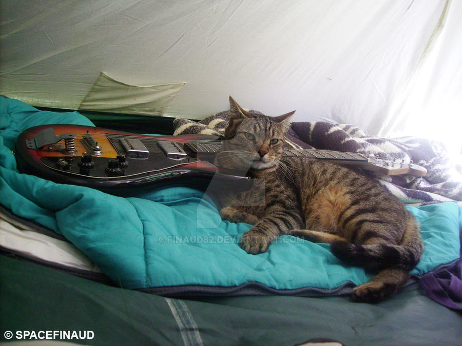 Le Chat Et La Guitare By Finaud On Deviantart Le Chat Et La Guitare By Finaud On Deviantart
