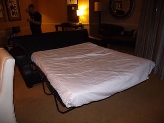 opryland pullout bed