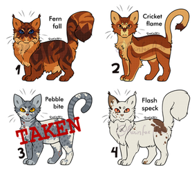 [1/4 OPEN] warriors themed adopts 4