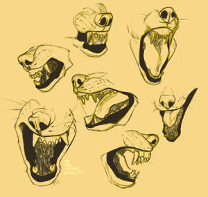 Mouth studies
