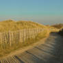 Path through the dunes