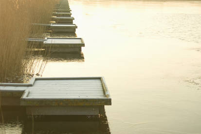 Fishing Platforms 2