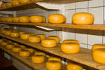 Cheese shelves by steppeland
