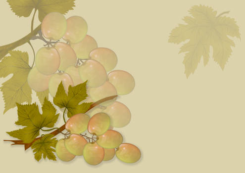 White Grapes background-design stock