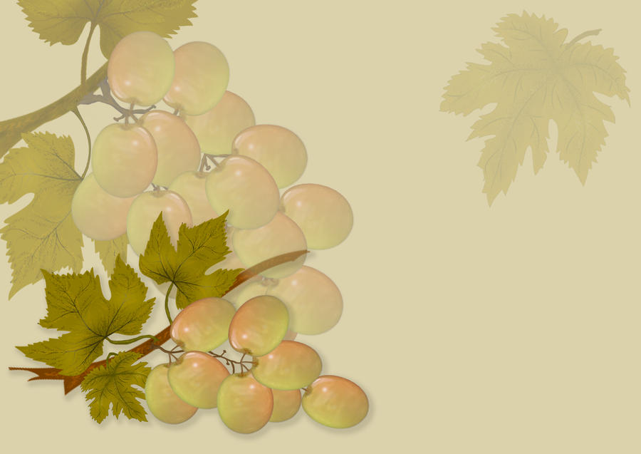 White Grapes background-design stock by steppeland