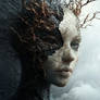 Stuck in an undesirable reality