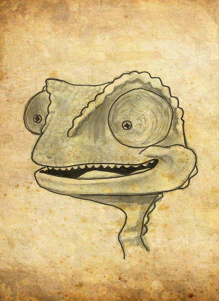 Rango sketch by Pedro-Coelho on DeviantArt