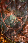 Crushed Copper Texture 2