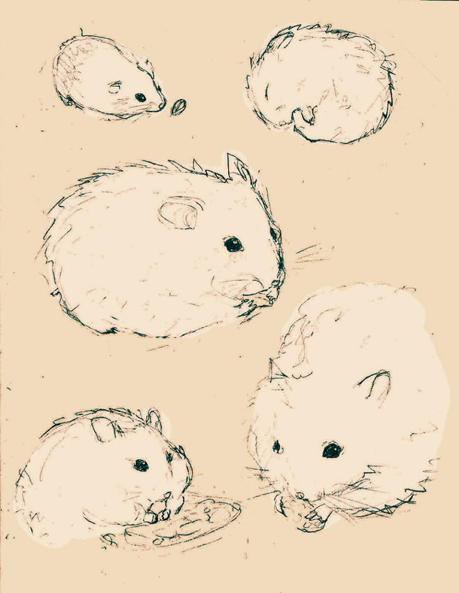 Some Doodles of Hamsters