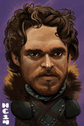 Robb Stark by hamdiggy