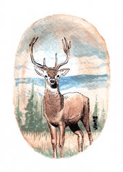 Watercolor Deer 01