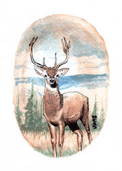 Watercolor Deer 01 by hamdiggy