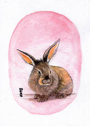 Watercolor Rabbit 01 by hamdiggy