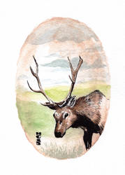 Watercolor Elk by hamdiggy