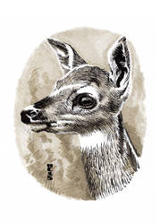 Watercolor Deer 02 by hamdiggy