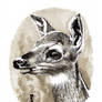 Watercolor Deer 02