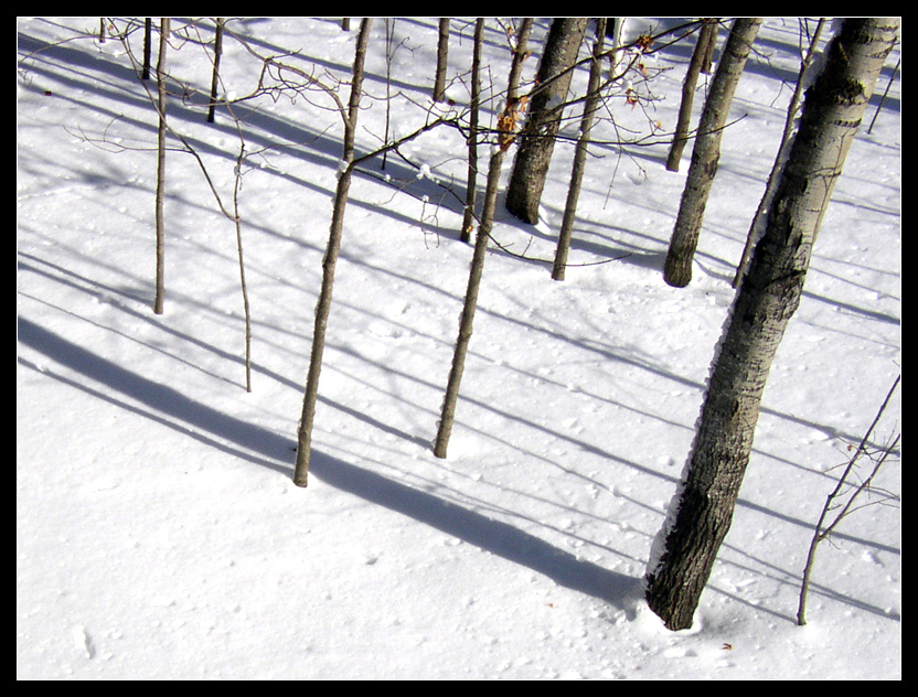 Minnesota Snow 04