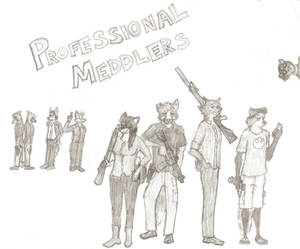 Professional Meddlers Splash Page