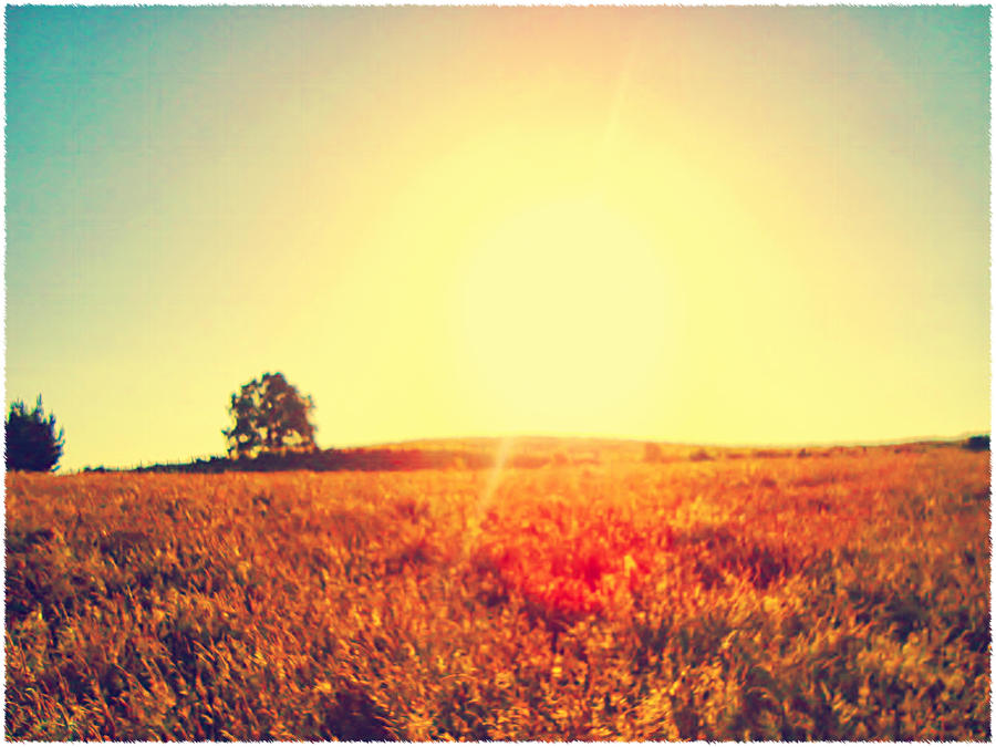 Sunshine by FloresKruuse Sunshine by FloresKruuse