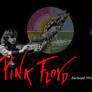Pink Floyd. Richard Wright