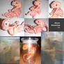 The Unborn Collage