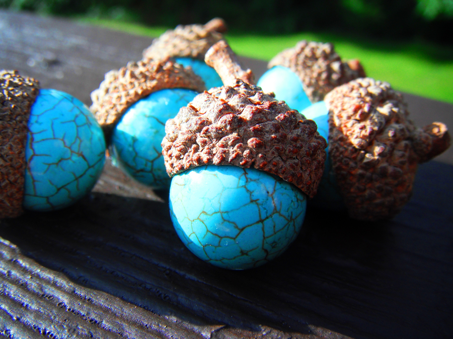 Turquoise Acorns