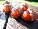 Brown Ceramic Acorns by MaryBunnie