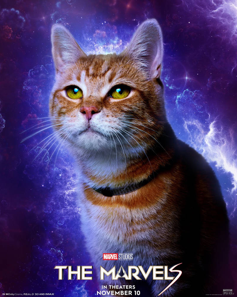 Goose The Flerken Goose The Flerken
