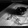 Kertesz's pipe and glasses