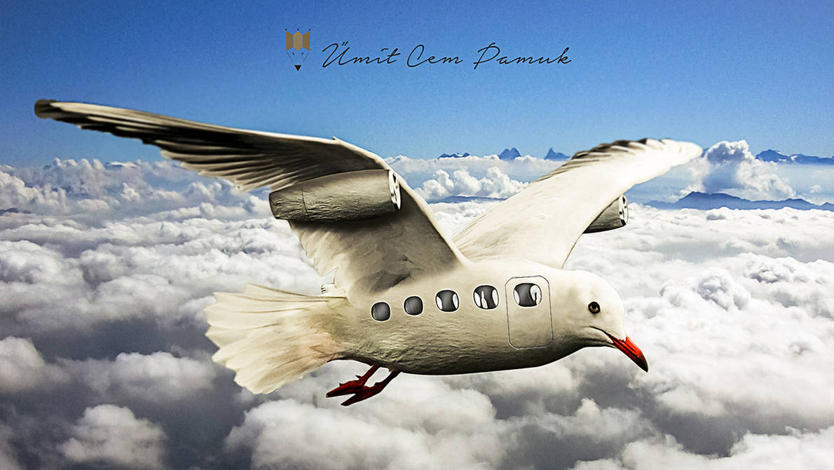 Самолеты машут крыльями. Птицы и Авиация. Это птица это самолет. Самолет с крыльями птицы. Самолет с птичьими крыльями.