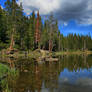 Mirror lake