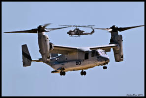 MV-22  Osprey MAGTF