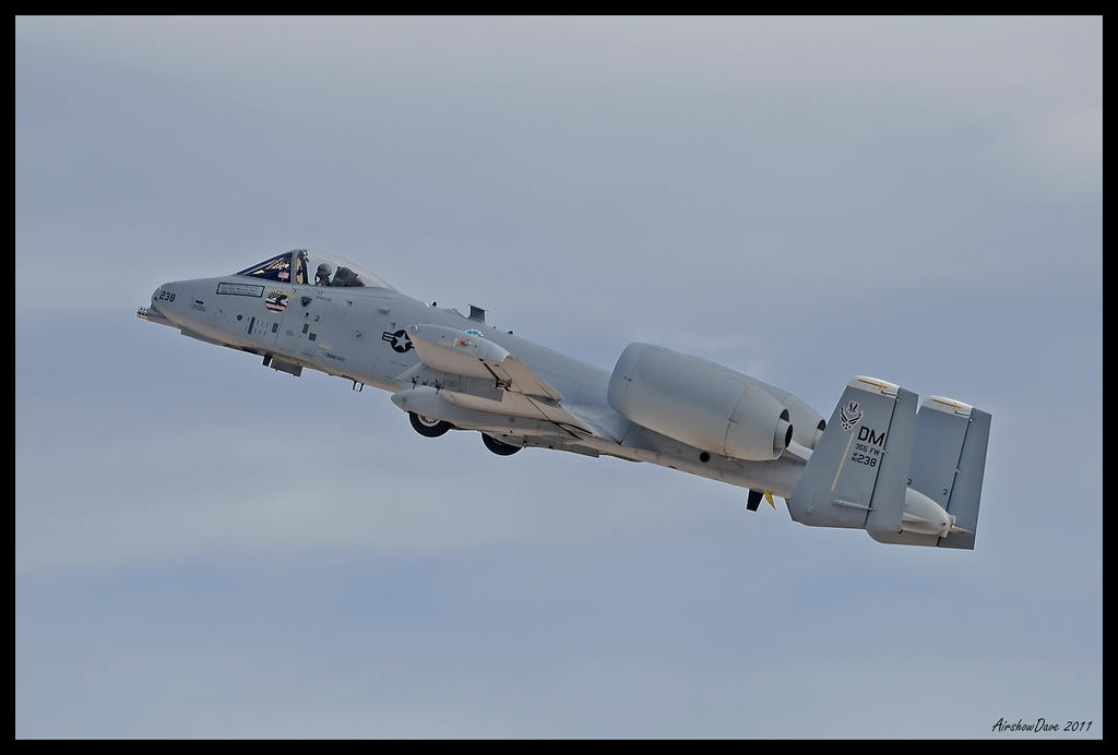 Nellis Hog