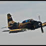 Nellis Skyraider