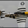 Closeup P-51D 44-73751  N5444V