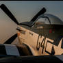 Wee Willy II Sunrise P-51 Mustang NL7715C