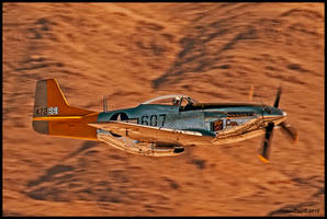 P-51 Mustang Spam Can