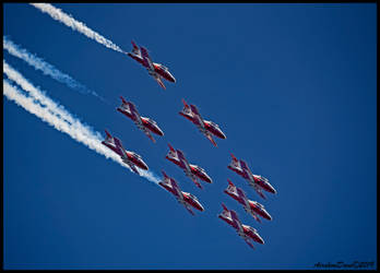 Snowbirds II