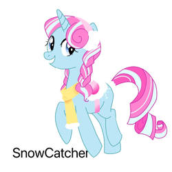 SnowCatcher