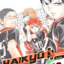 Haikyuu!! cover 2 (SC)